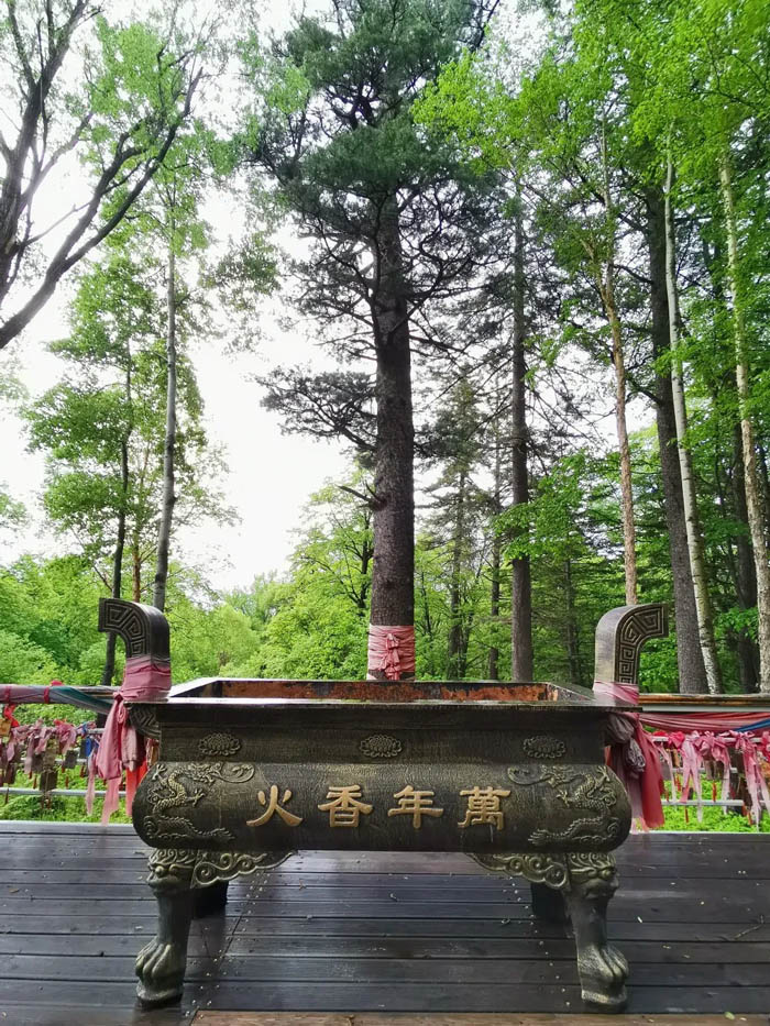 【夢(mèng)想聚團隊 團隊創(chuàng  )輝煌】西微雅團建活動(dòng)——長(cháng)白山之旅(圖4)