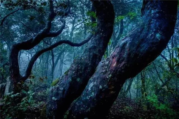 【夢(mèng)想聚團隊 團隊創(chuàng  )輝煌】西微雅團建活動(dòng)——長(cháng)白山之旅(圖13)