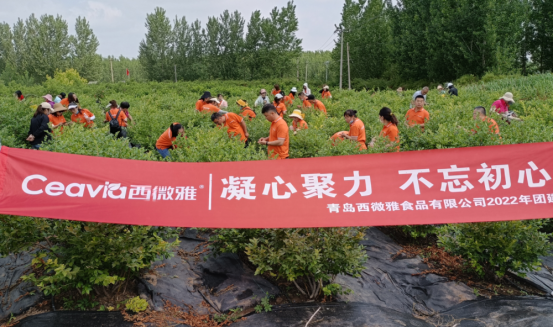 2022年青島西微雅企業(yè)團建活動(dòng)圓滿(mǎn)結束(圖1)